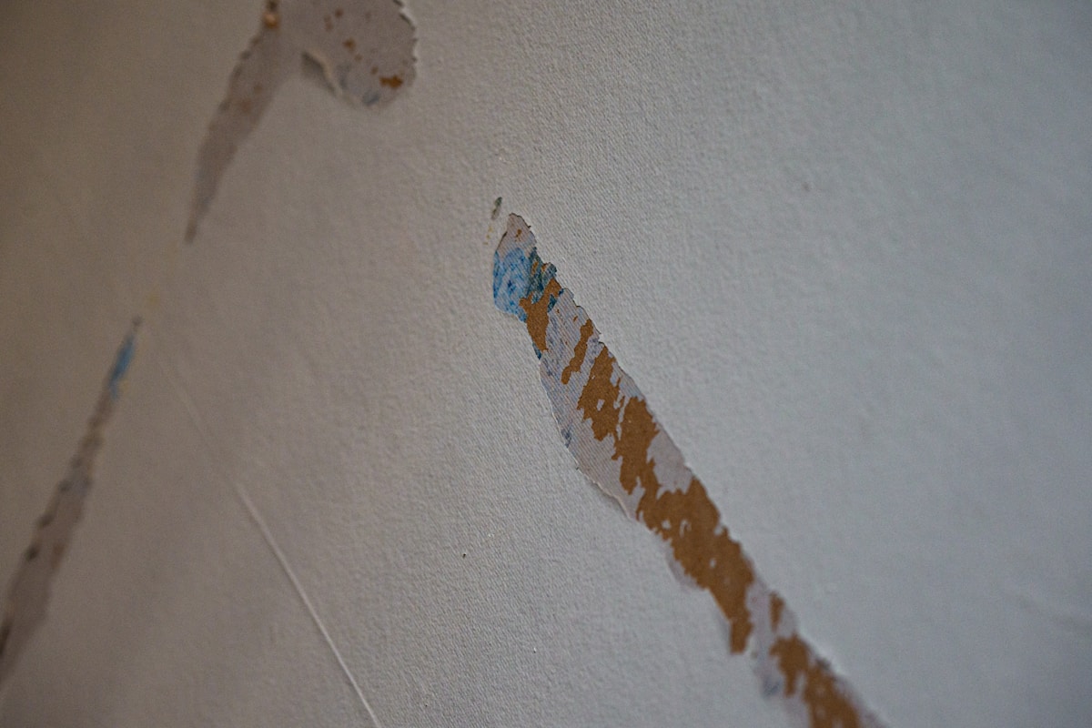 Basement Water Removal service in Norwich, CT